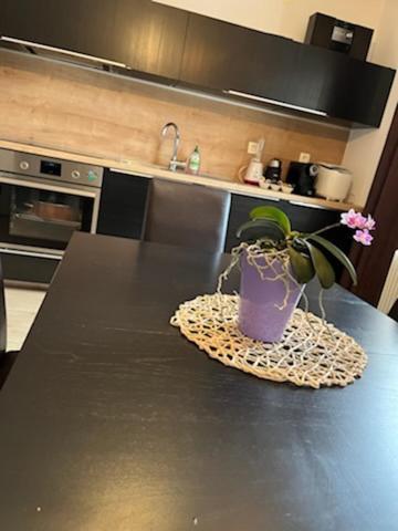 Apartma Bohinj Ngoại thất bức ảnh